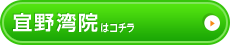 宜野湾院はこちら