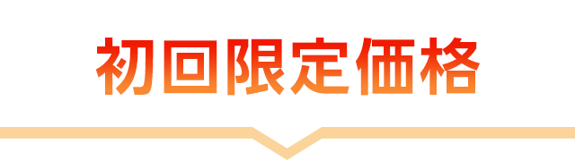 初回限定価格